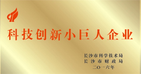 我公司獲評為長(cháng)沙市首批科技創(chuàng  )新小巨人企業(yè)